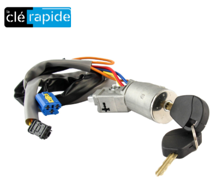 LEXUS IS200 C4 ANTI-THEFT Code and cutting included, based on the key code or a photo of the vehicle key