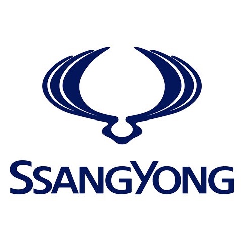 Insert SsangYong Korando C 2010 - 2019 Mise au code et taillage inclus, à partir du code de clé ou d'une photo de la clé du véhicule