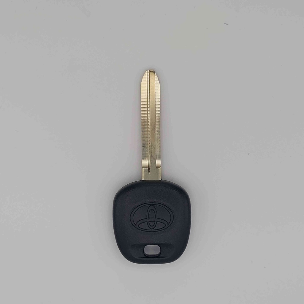 CLE TRANSPONDEUR PICNIC