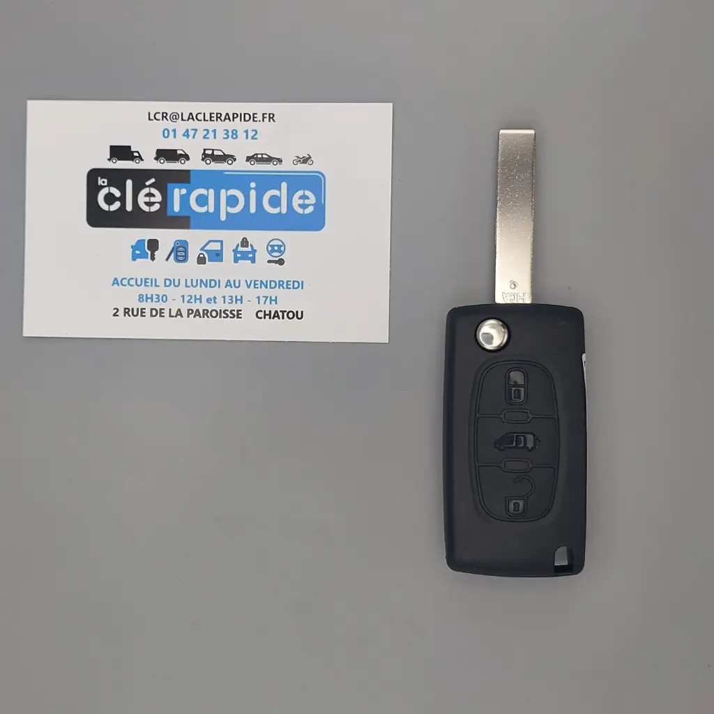 TELECOMMANDE EXPERT 2 PLIABLE 3 BOUTONS APRES 2009 