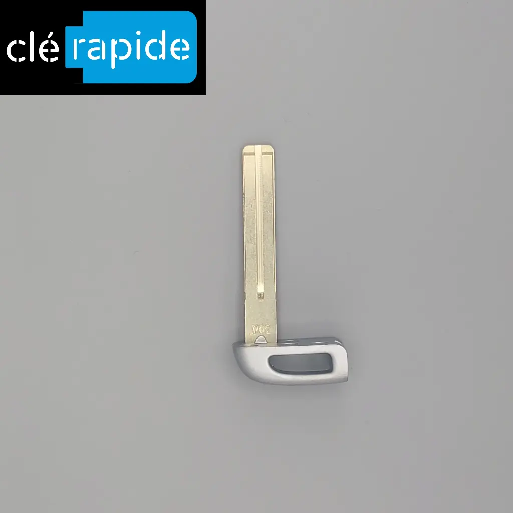 Clé Kia DE SECOURS MAIN LIBRE RIO . Mise au code et taillage inclus, à partir du code de clé ou d'une photo de la clé du véhicule