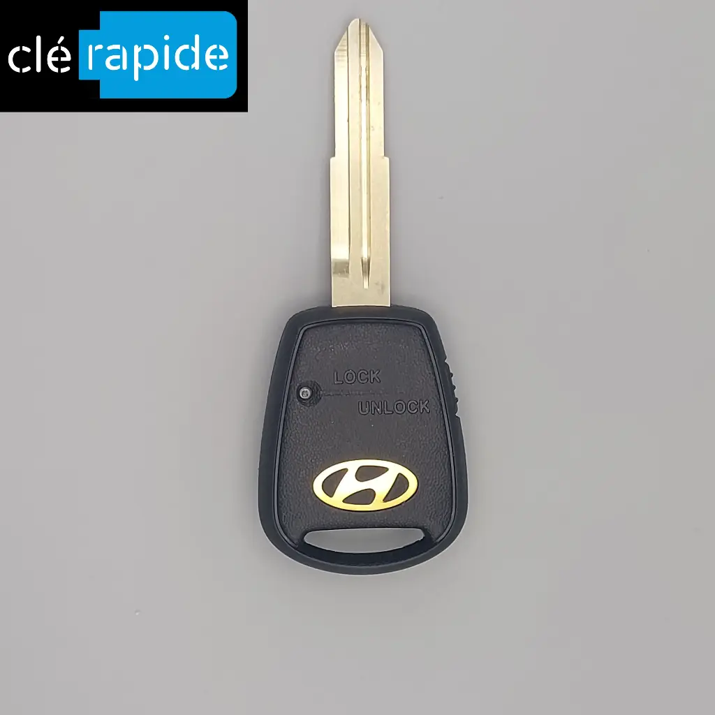 TELECOMMANDE SATELITE H1