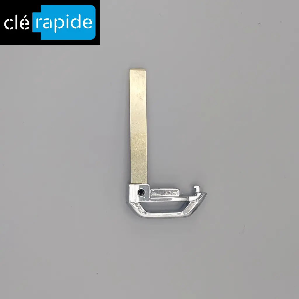 Insert Kia EV6 (variante du 81996CV000) 2022-2024 Mise au code et taillage inclus, à partir du code de clé ou d'une photo de la clé du véhicule