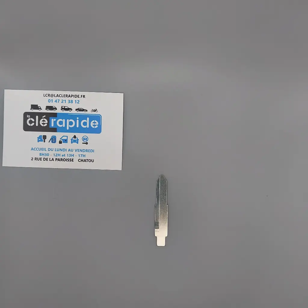 INSERTO TELECOMANDO AIXAM