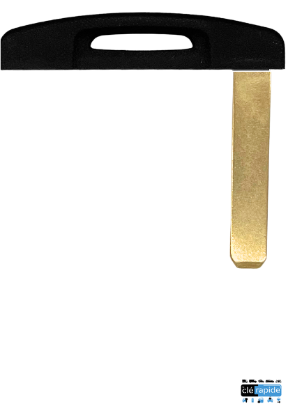 EBAUCHE VA2 POUR CARTE RENAULT® KOLEOS MEGANE 3 EVA2