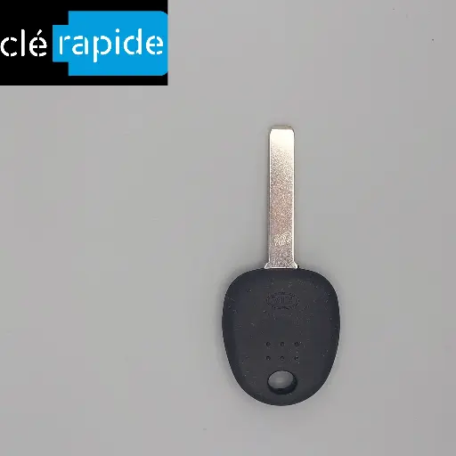 [819961P010] Clé Kia Venga (YN) - clé sinus 2010-2019 Mise au code et taillage inclus, à partir du code de clé ou d'une photo de la clé du véhicule