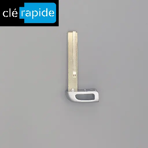 [819961Y020] CLE INSERT PICANTO DU 01/02/2011 AU 01/02/2013