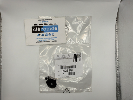 [9926FH] GROS RIVET