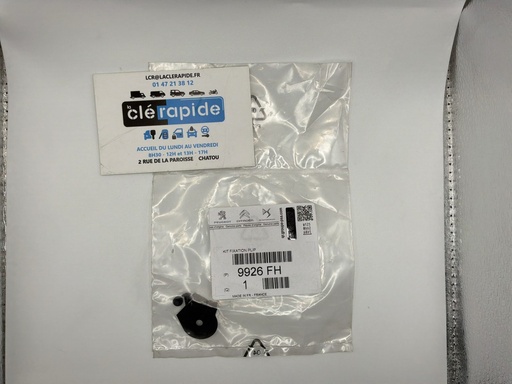 [9926FH] GROS RIVET