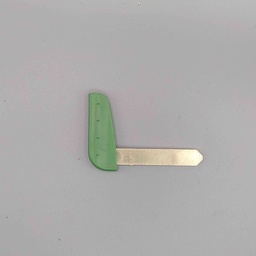 Insert Renault LAGUNA POUR CARTE 2001 - 2015