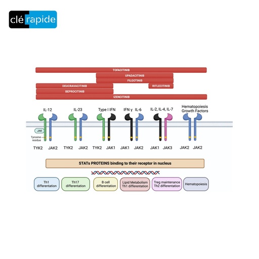 [JAK] CLE JAGUAR AK