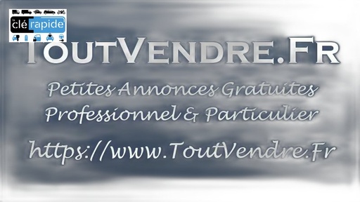 [QRF10011CR] Antivol Rover Rover 100 / Metro - antivol/contacteur Néiman 1989-1998 Mise au code et taillage inclus, à partir du code de clé ou d'une photo de la clé du véhicule