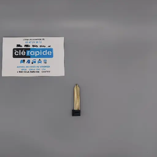 [PR0AP030A] AIXAM REMOTE CONTROL CROSS INSERT