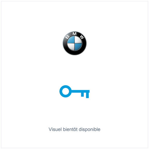 [BW4LT02-R] CLE ROUGE POUR TRANSPONDEUR POUR MOTO BMW