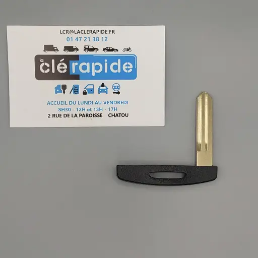 CLÉ INSERT RENAULT KOLEOS POUR CARTE MAINS LIBRE