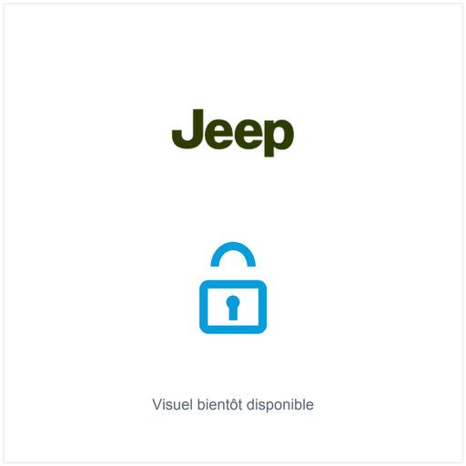 [4746293] VERROU CHRYSLER HAYON CHEROKEE (1994)