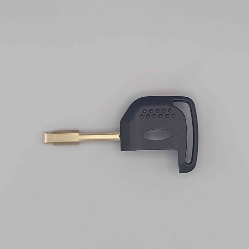 [6494854] CLE FORD TIBBE TORCH