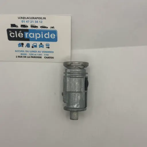 [71770699] CHRYSLER VOYAGER / PT CRUISER ANTI-THEFT (1998) Codierung und Ausschneiden inklusive, anhand des Schlüsselcodes oder eines Fotos des Fahrzeugschlüssels