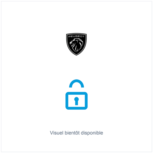 [1667781380] VERROU PORTE GAUCHE  PEUGEOT 2008